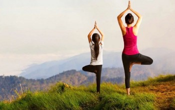 Yoga Tư Thế Cái Cây - Bí Quyết Cân Bằng và Sức Mạnh