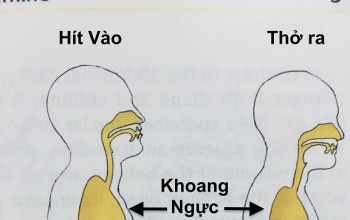 Thở Đúng Cách Để Hiệu Quả Trong Yoga