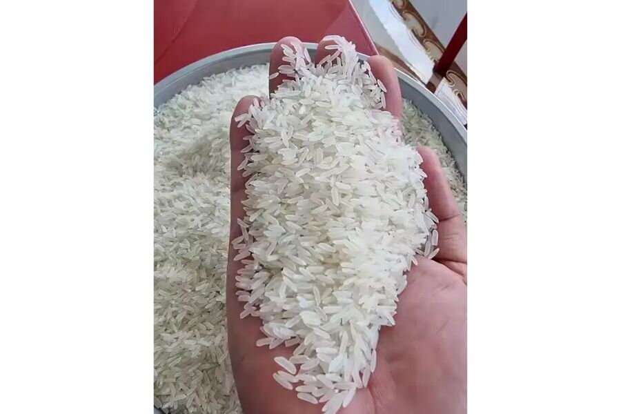 What Is Vietnamese Homali Rice? Comparison with Other Famous Rice Varieties