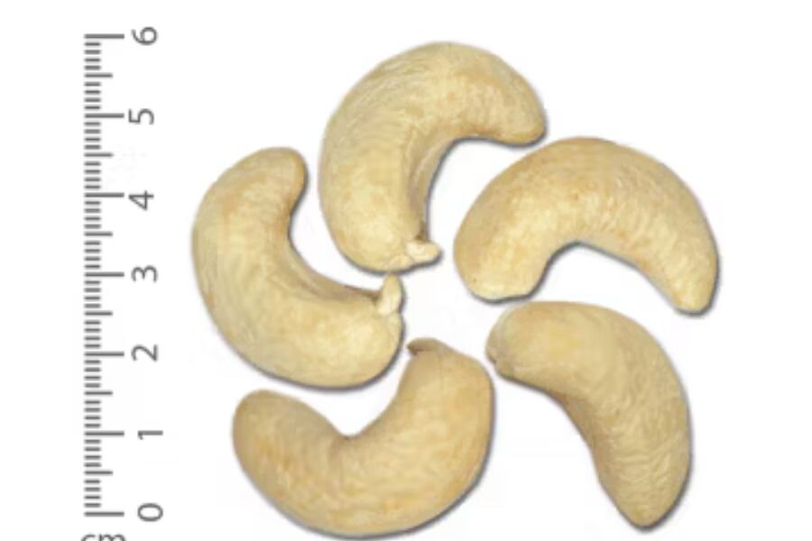 Understanding the Difference Between Raw Cashew Nuts and Cashew Kernels: A Complete Guide